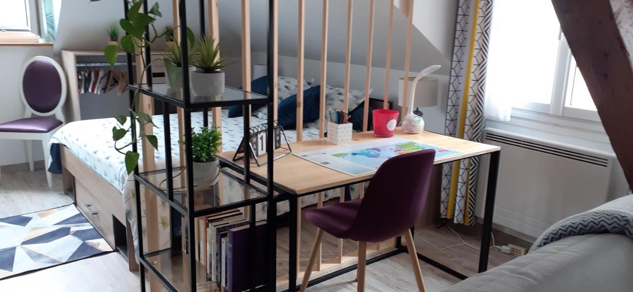 La Roseraie, Loft 3 Etoiles, Calme Et Ensoleille Au Pied Des Pyrenees 바네르드비고르 외부 사진