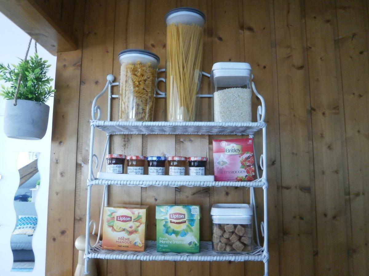 La Roseraie, Loft 3 Etoiles, Calme Et Ensoleille Au Pied Des Pyrenees 바네르드비고르 외부 사진